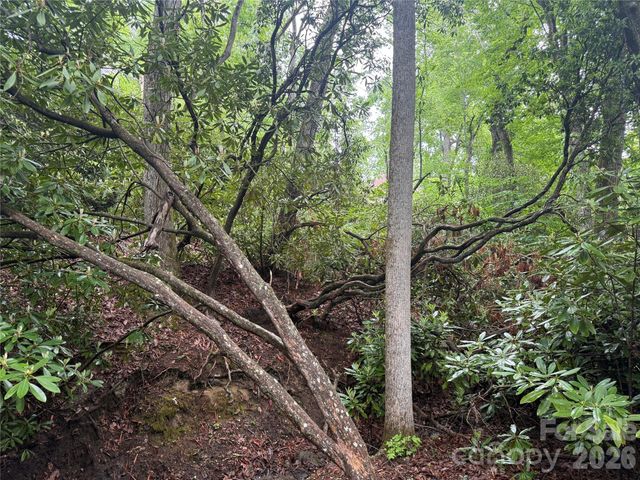TBD Dogwood Trail, Spruce Pine, NC 28777