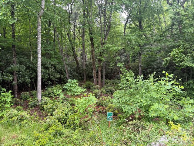 TBD Dogwood Trail, Spruce Pine, NC 28777