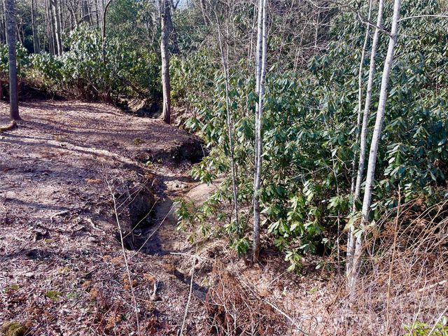 TBD Dogwood Trail, Spruce Pine, NC 28777