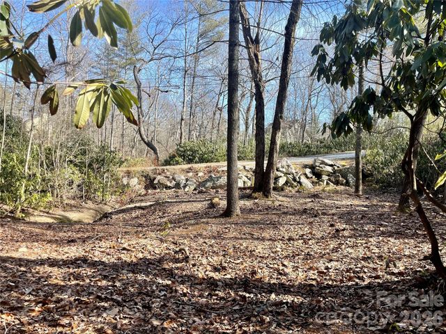 TBD Dogwood Trail, Spruce Pine, NC 28777