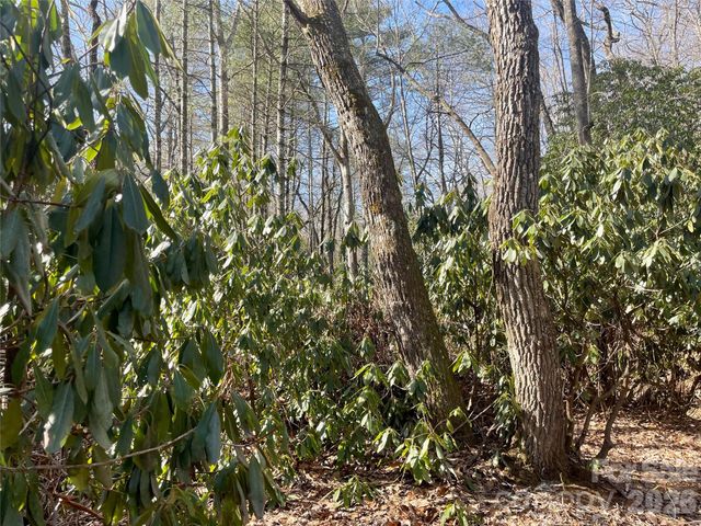 TBD Dogwood Trail, Spruce Pine, NC 28777
