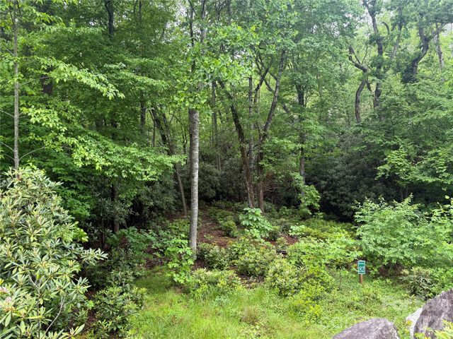 TBD Dogwood Trail, Spruce Pine, NC 28777