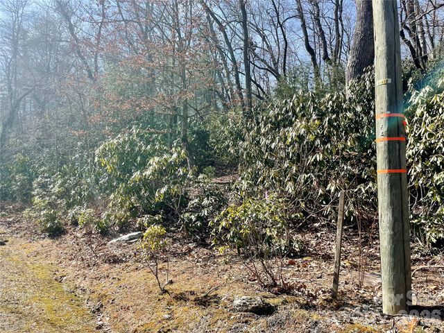 TBD Dogwood Trail, Spruce Pine, NC 28777