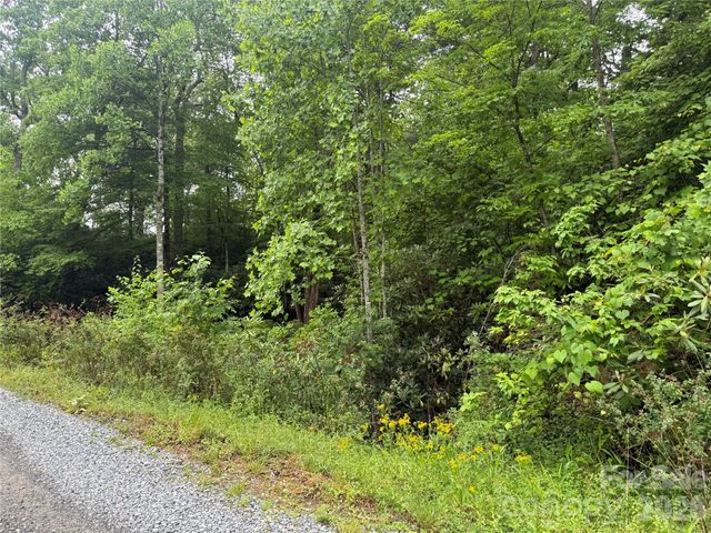 TBD Dogwood Trail, Spruce Pine, NC 28777