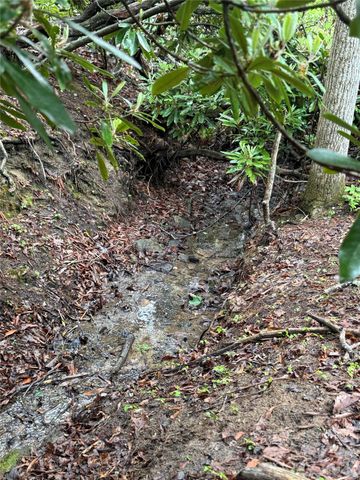 TBD Dogwood Trail, Spruce Pine, NC 28777