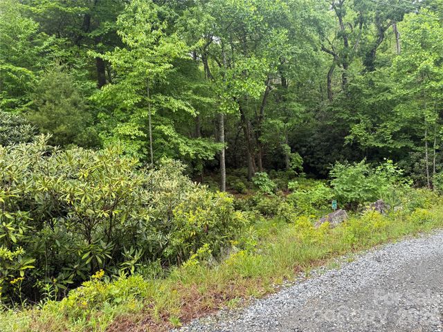 TBD Dogwood Trail, Spruce Pine, NC 28777