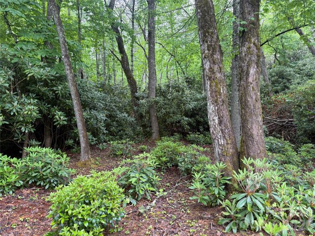 TBD Dogwood Trail, Spruce Pine, NC 28777