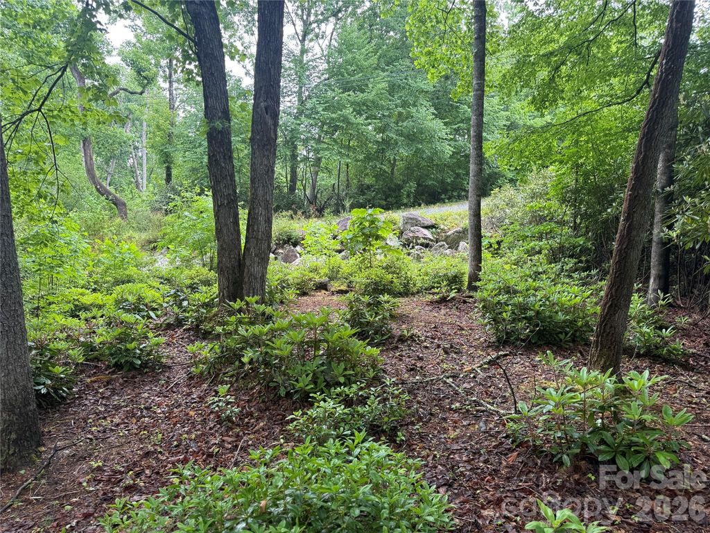 TBD Dogwood Trail, Spruce Pine, NC 28777