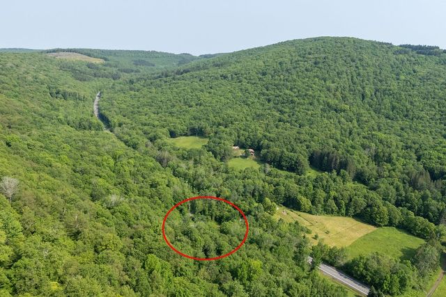 24780 State Highway 206, Colchester, NY 13755