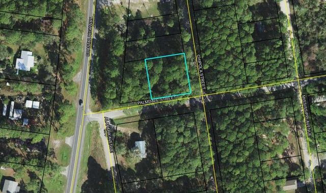 X Palmdale Street, Panacea, FL 32346