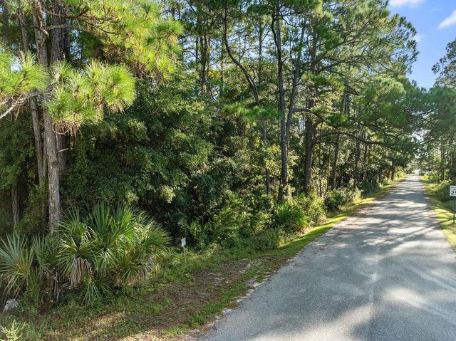 X Palmdale Street, Panacea, FL 32346