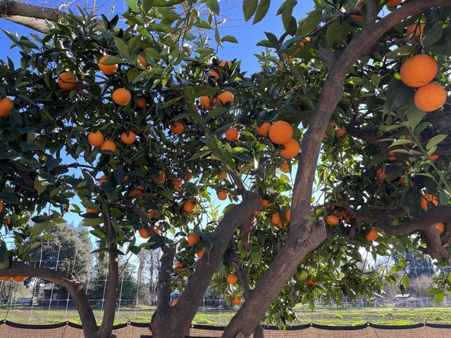 5985 Monterey Road, Gilroy, CA 95020