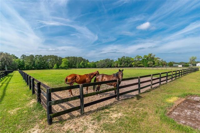 17350 NW 120TH AVENUE, Reddick, FL 32686