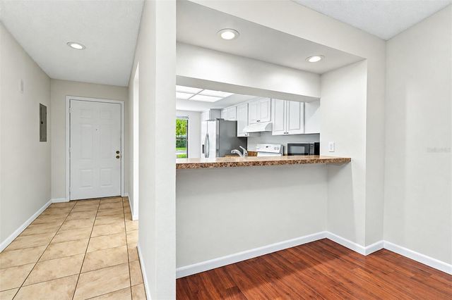 1817 CYPRESS TRACE DRIVE, Safety Harbor, FL 34695