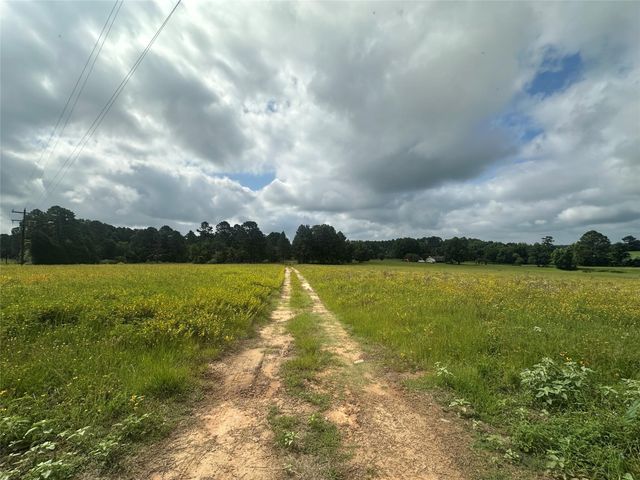 11.78AC Cr 223, Buffalo, TX 75831