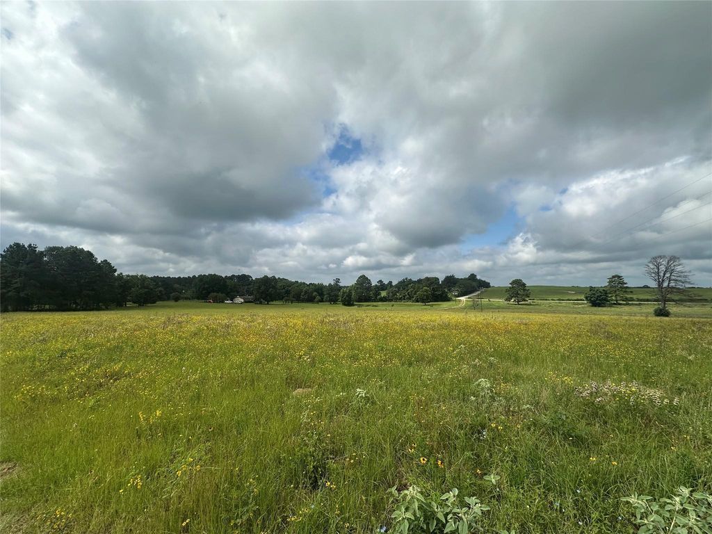 11.78AC Cr 223, Buffalo, TX 75831