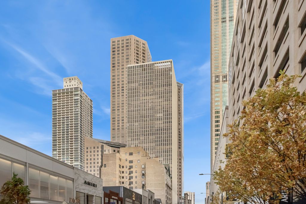 100 E Walton Street 18D, Chicago, IL 60611