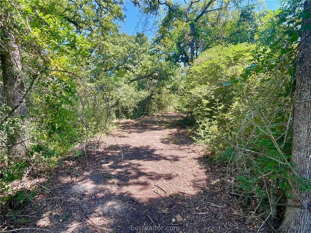 9212 Stetson Drive, Normangee, TX 77871 — photo 5