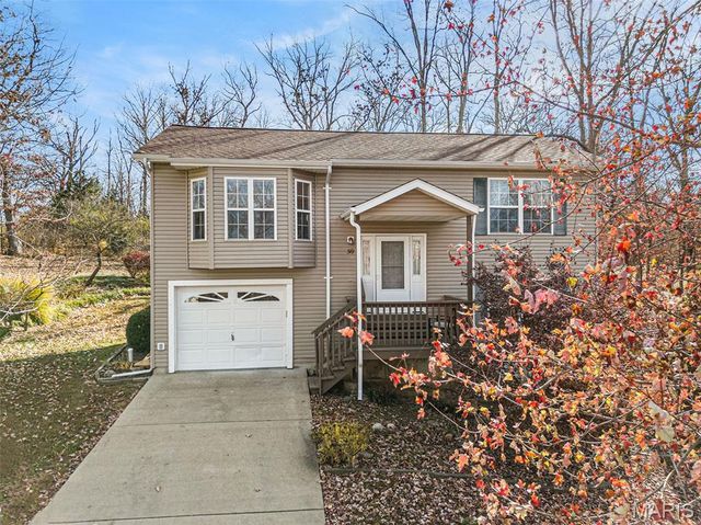 319 Shady Oak Court, St Clair, MO 63077