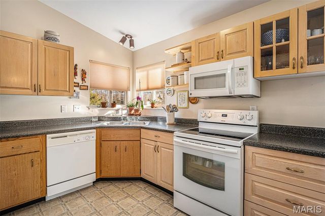 319 Shady Oak Court, St Clair, MO 63077