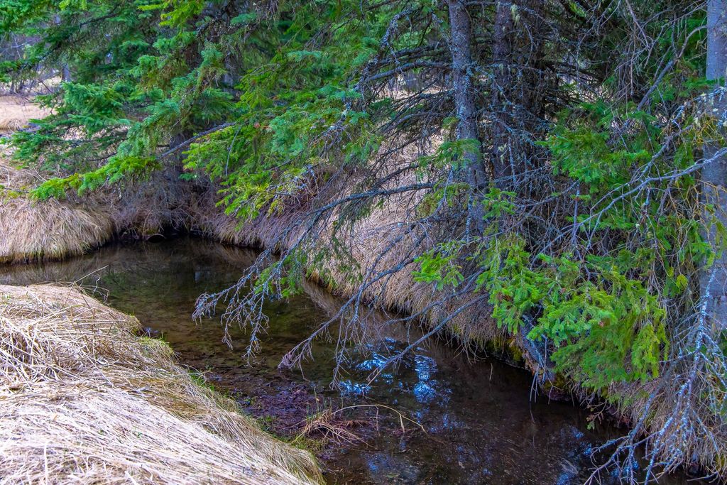 3700 Glen Lake Road, Eureka, MT 59917 photo 120