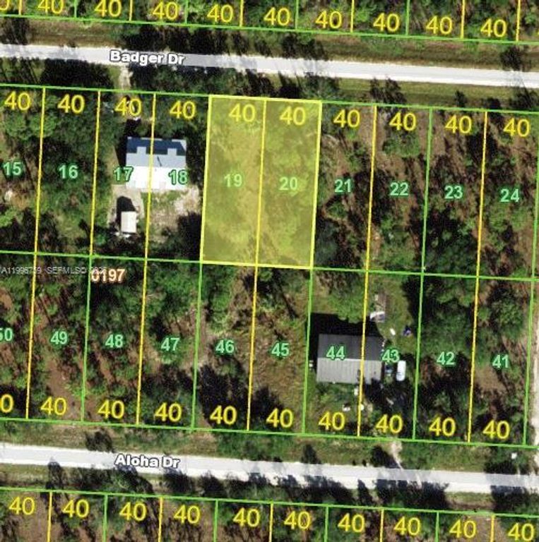 27101 Bagder Dr, Punta Gorda, FL 33955