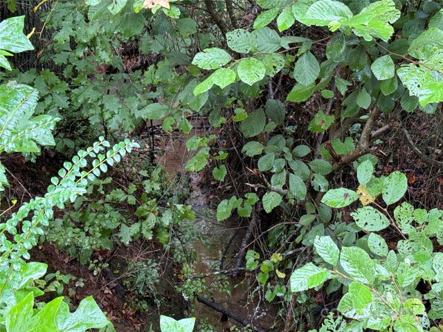 1054 Sandy Springs Road, Rutherfordton, NC 28139