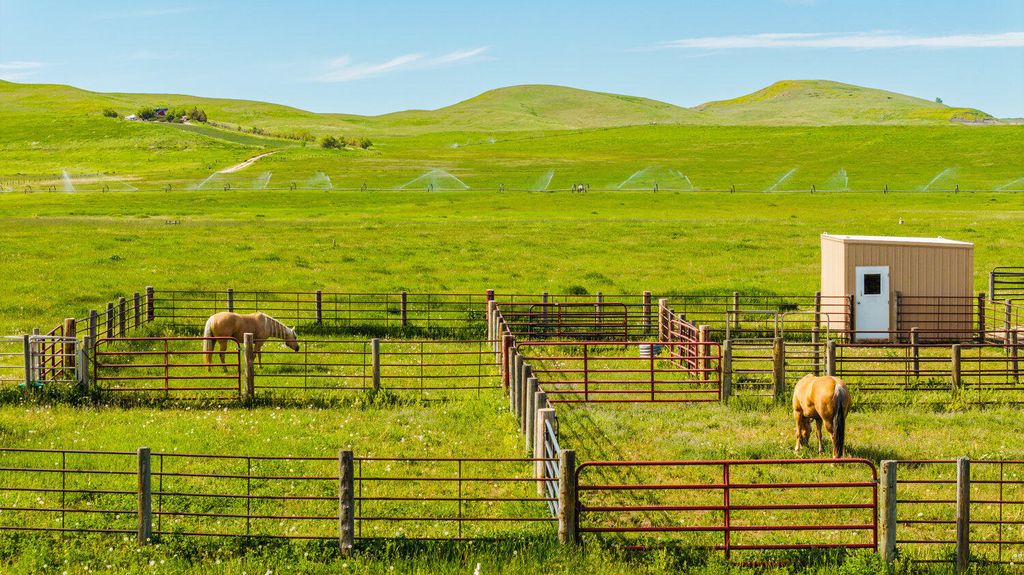 29 Meade Creek Road, Sheridan, WY 82801 photo 43