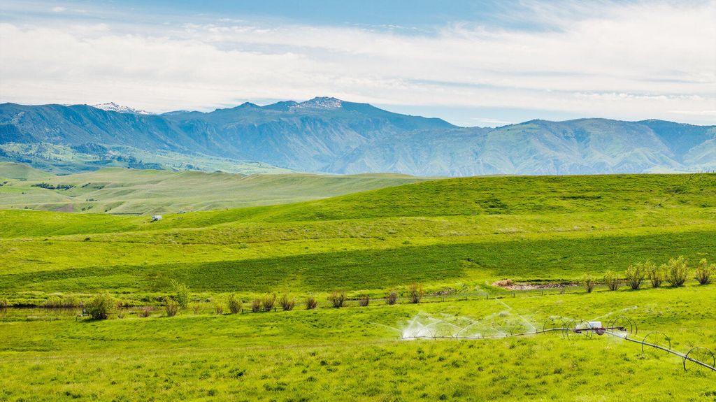 29 Meade Creek Road, Sheridan, WY 82801 photo 5