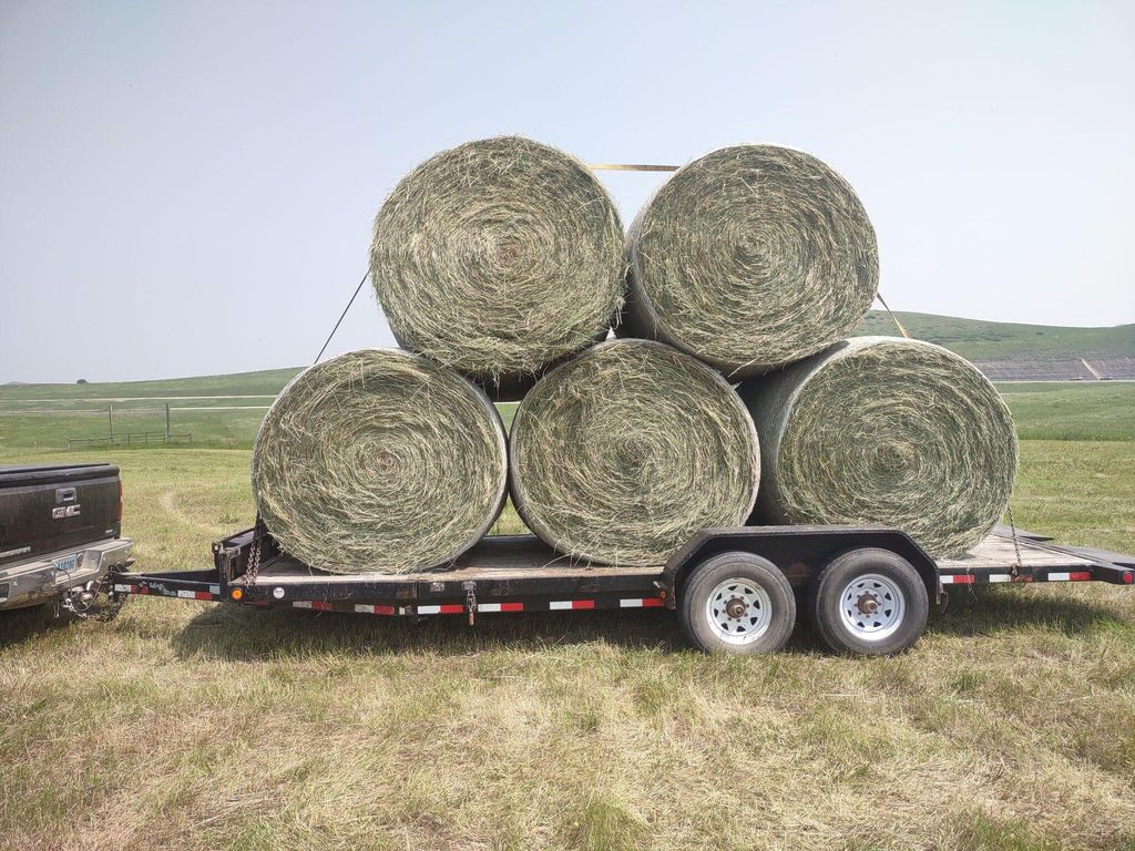 29 Meade Creek Road, Sheridan, WY 82801 photo 52