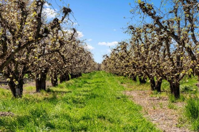 14268 State Highway 160, Ryde, CA 95680