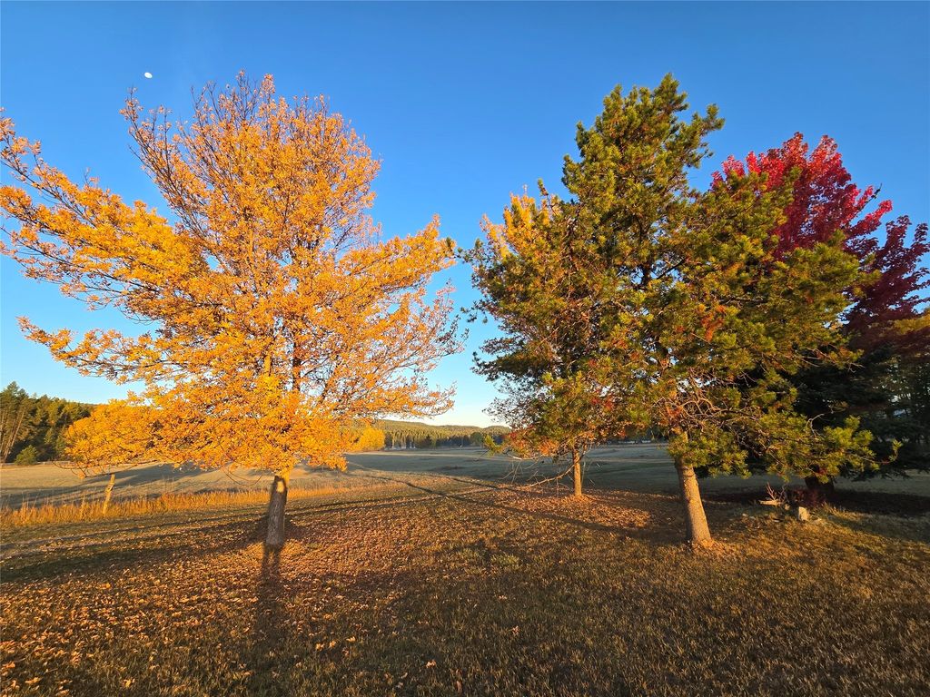 7225 Farm To Market Road, Whitefish, MT 59937 photo 101