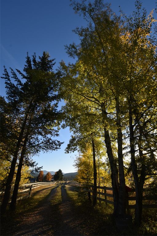 7225 Farm To Market Road, Whitefish, MT 59937 photo 89