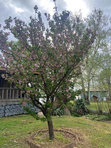 3115 Riverside Drive, White Hall, AR 71602