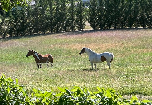 925 Galls Creek Road, Gold Hill, OR 97525