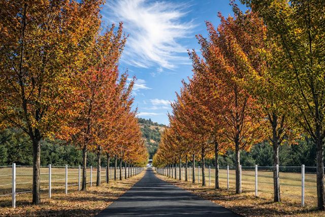 925 Galls Creek Road, Gold Hill, OR 97525