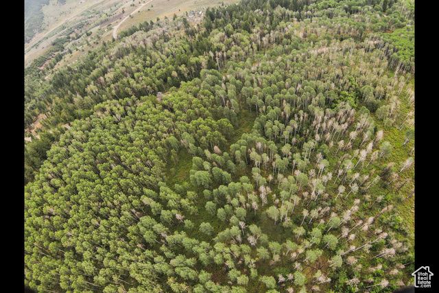 17161 Sundance 20-C, Spanish Fork, UT 84660