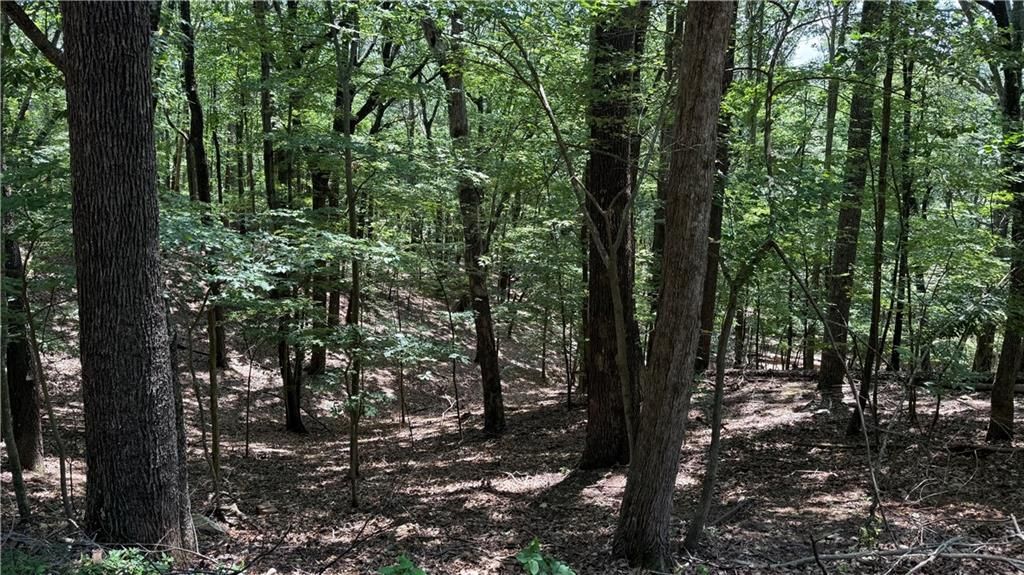 0 Laurel Mill Trail, Jasper, GA 30143