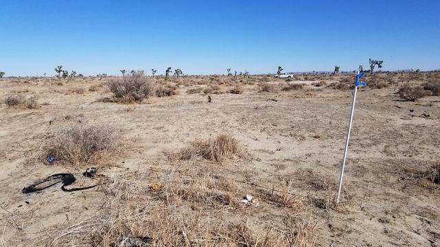 Ave G12 At 13 St E, Lancaster, CA 93535