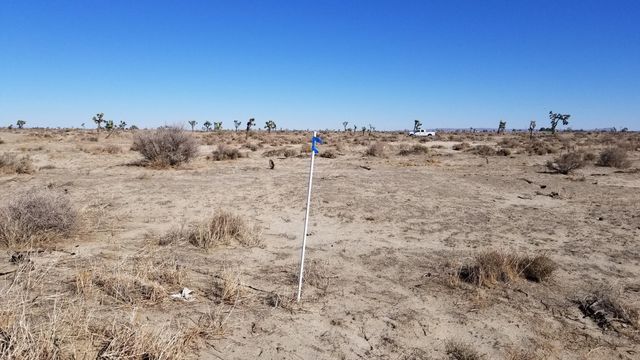 Ave G12 At 13 St E, Lancaster, CA 93535