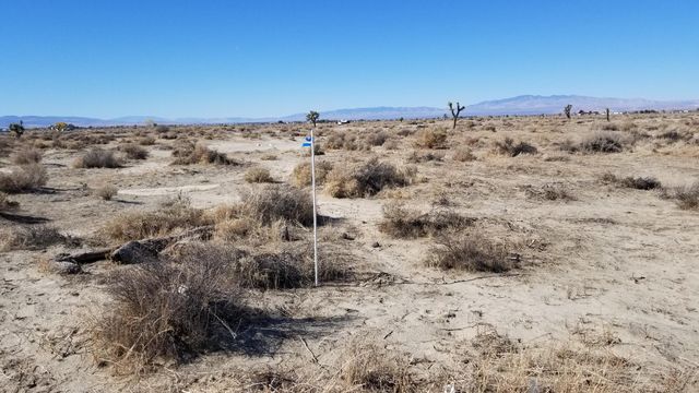 Ave G12 At 13 St E, Lancaster, CA 93535