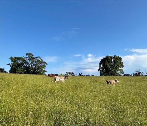 13074 NC 2700, Compton, AR 72624