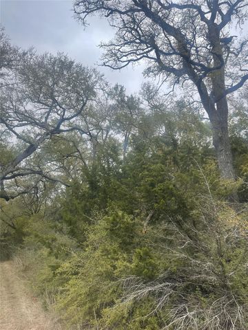 2171 - 2151 Onion Creek BND, Driftwood, TX 78619