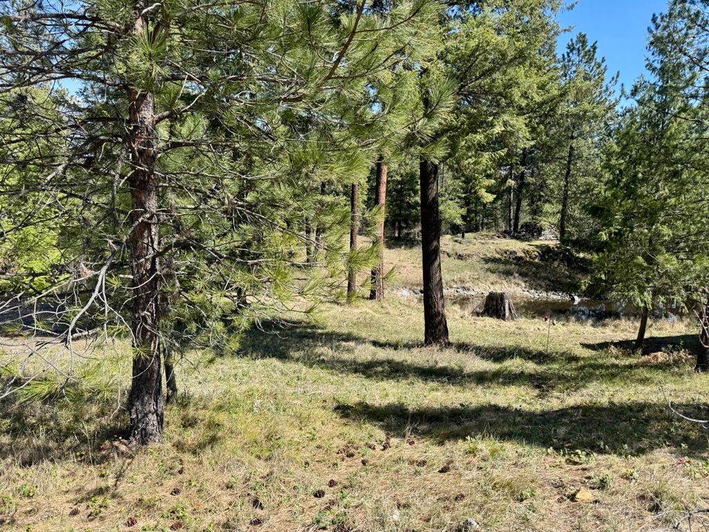 Nhn Mossy Rock Court, Thompson Falls, MT 59873