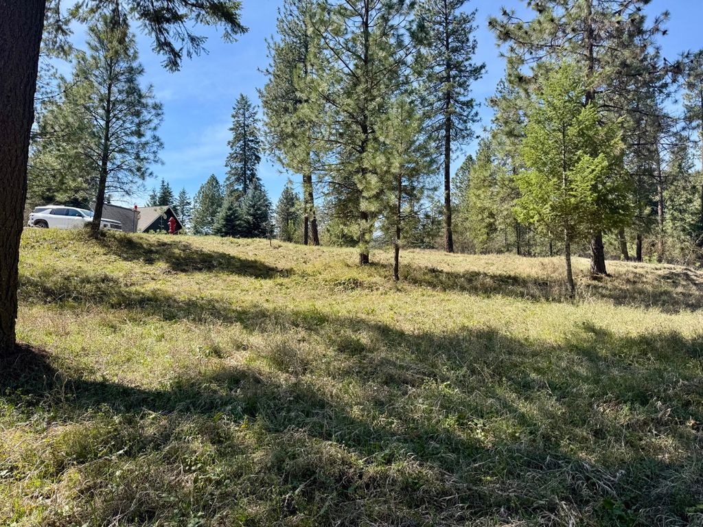 Nhn Mossy Rock Court, Thompson Falls, MT 59873 photo 10
