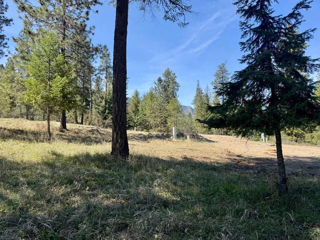 Nhn Mossy Rock Court, Thompson Falls, MT 59873 photo 11