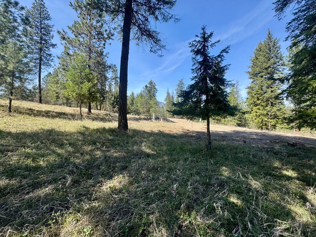 Nhn Mossy Rock Court, Thompson Falls, MT 59873 photo 12