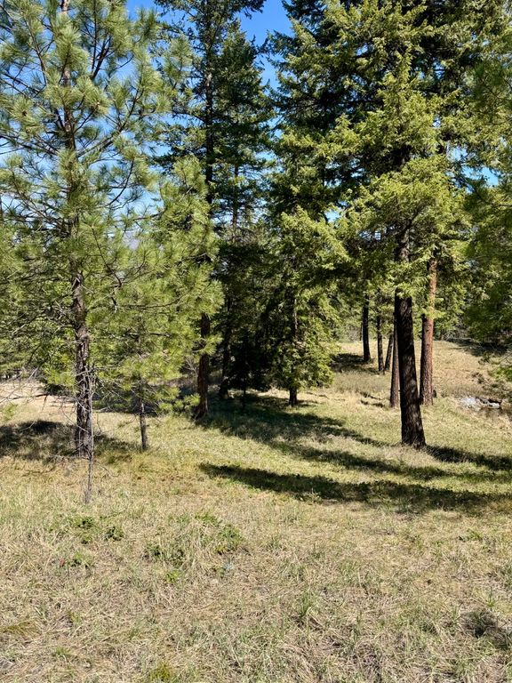 Nhn Mossy Rock Court, Thompson Falls, MT 59873 photo 2