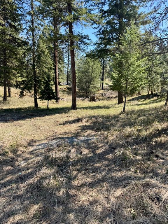Nhn Mossy Rock Court, Thompson Falls, MT 59873 photo 3