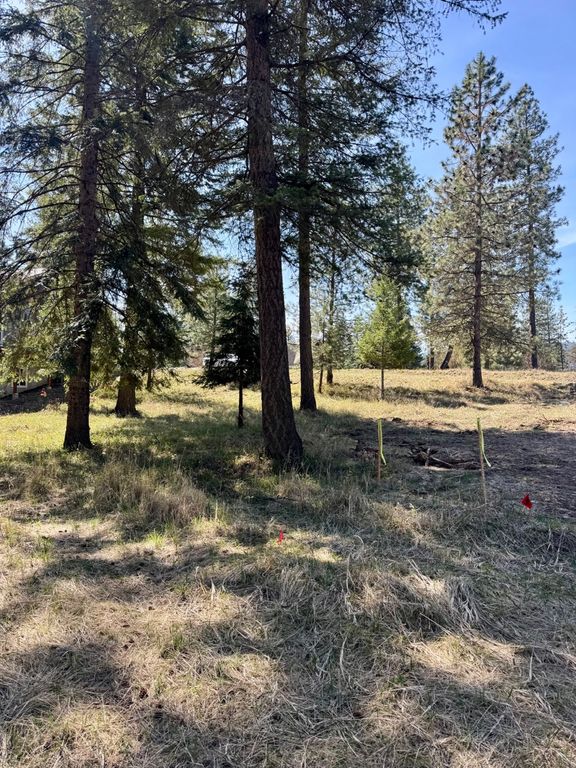Nhn Mossy Rock Court, Thompson Falls, MT 59873 photo 4
